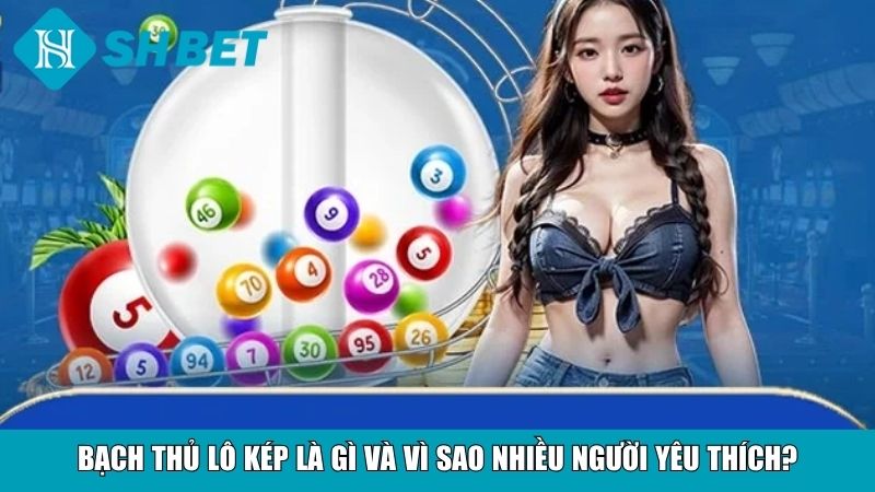 Soi Cầu Bạch Thủ Lô Kép Miền Bắc Chuẩn Xác Từng Ngày 2 Bạch thủ lô kép là gì và vì sao nhiều người yêu thích?
