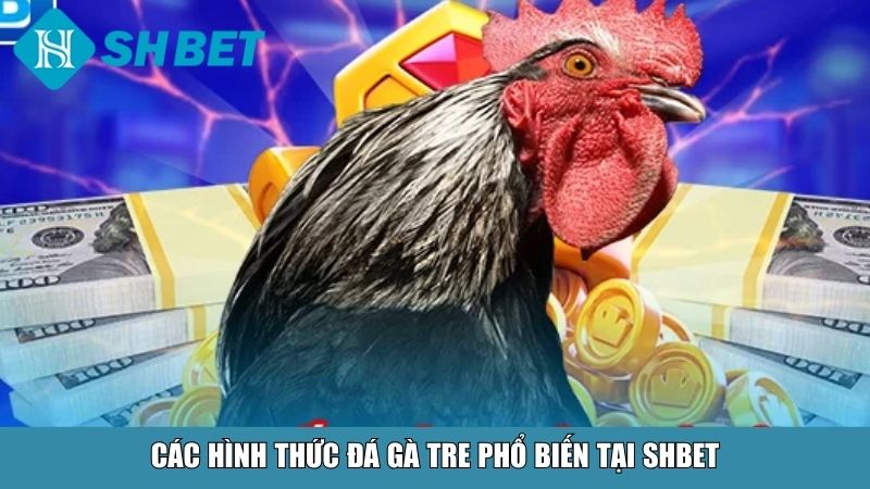 Đá Gà Tre Tại SHBET – Trải Nghiệm Chiến Kê Thần Thoại 3 Ưu điểm nổi bật khi chơi đá gà tre tại SHBET
