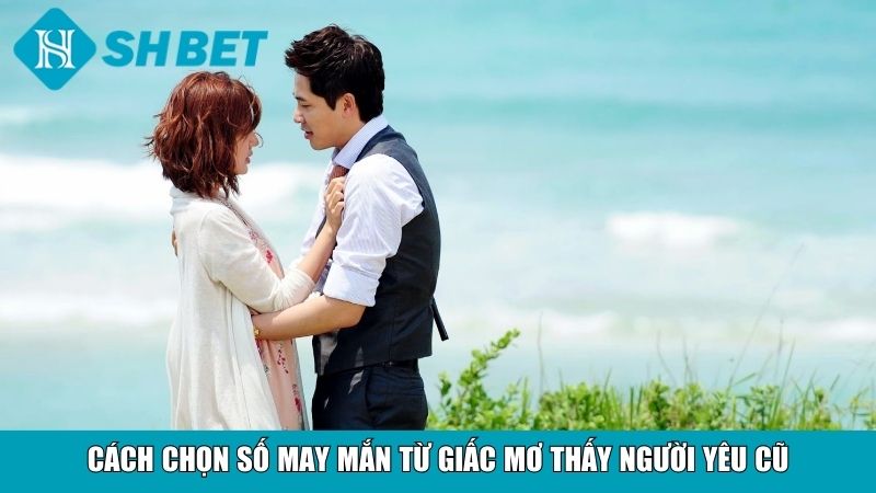 Nằm Mơ Thấy Người Yêu Cũ Đánh Đề Con Gì Chuẩn Nhất 4 Cách chọn số may mắn từ giấc mơ thấy người yêu cũ