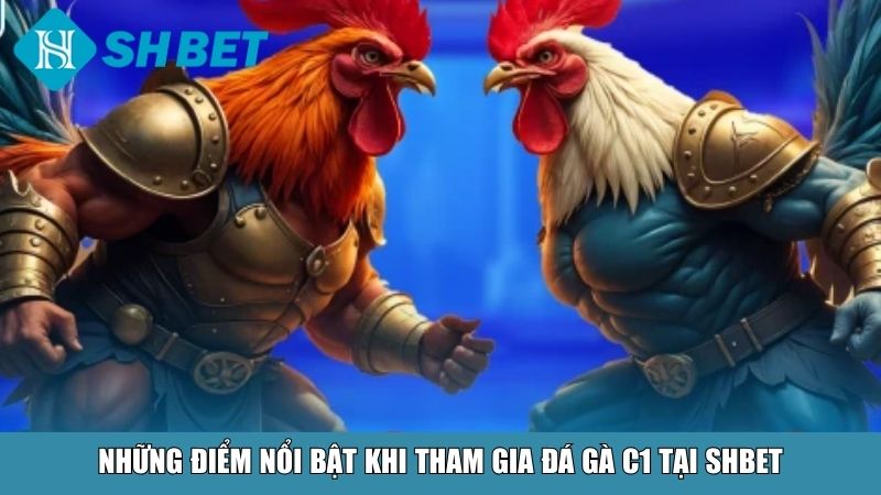 Đá Gà C1 Tại SHBET – Sân Chơi Đỉnh Cao Cho Người Đam Mê 12 Những điểm nổi bật khi tham gia đá gà C1 tại SHBET